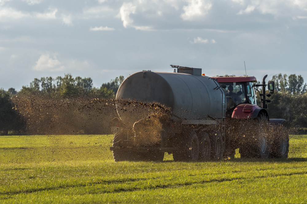 buchenhecke dünger kaufen Hedge Care main image 0