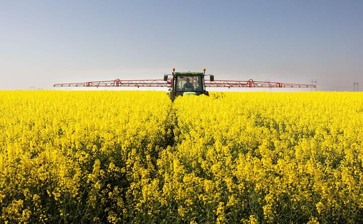 Traktormaschine wird in der Landwirtschaft zum Versprühen von Insektiziden verwendet